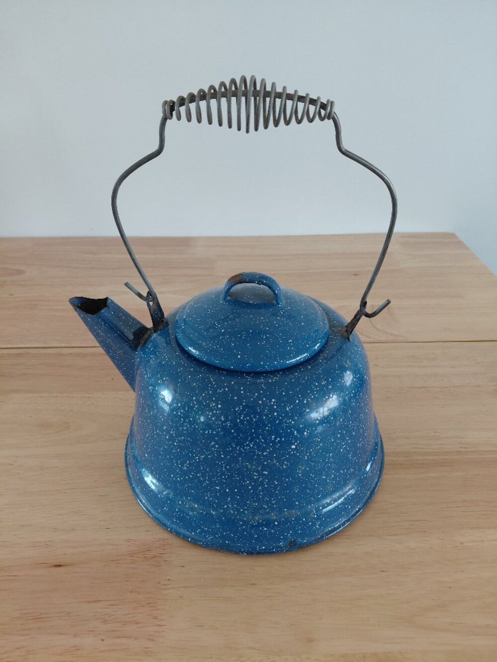 Enamel Tea Pot - Blue & White